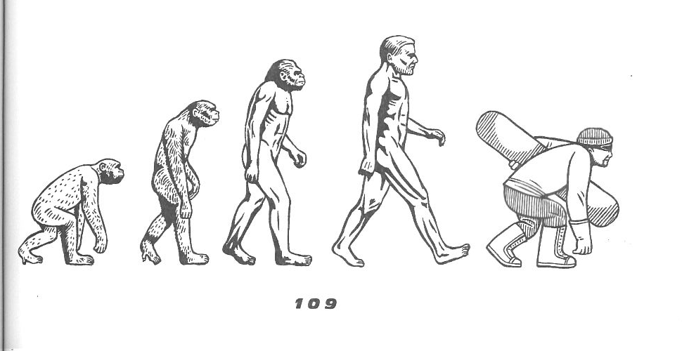 evolution[1].png