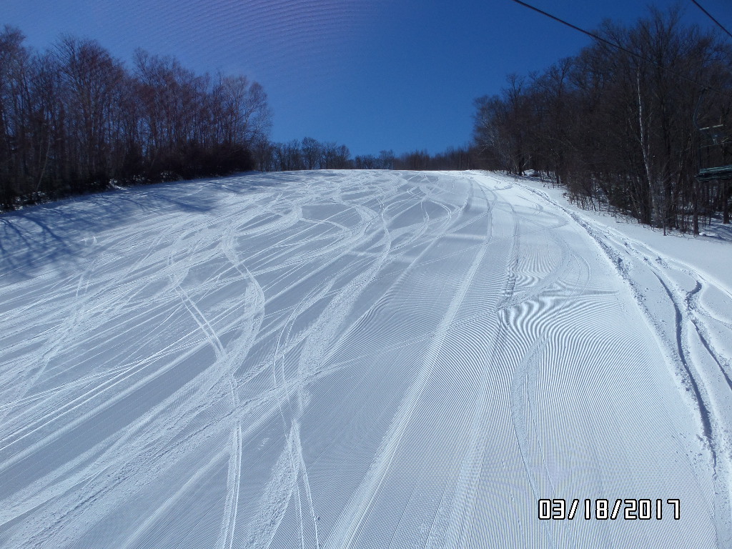 Toll House groomer.JPG