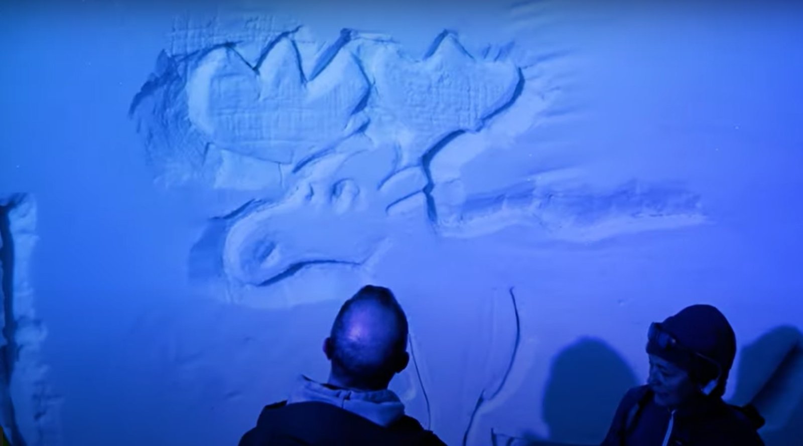 Moose.gloo.jpg