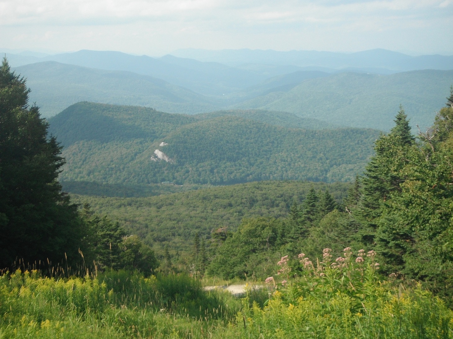 DSCF69781.jpg