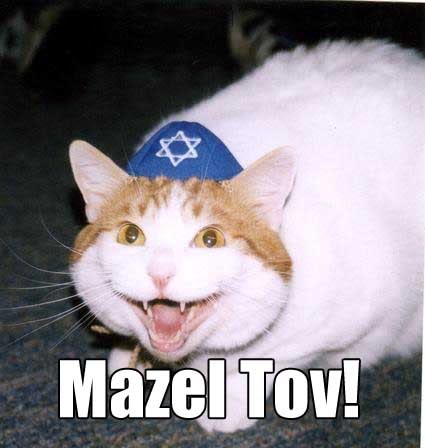 mazeltovcat.jpg