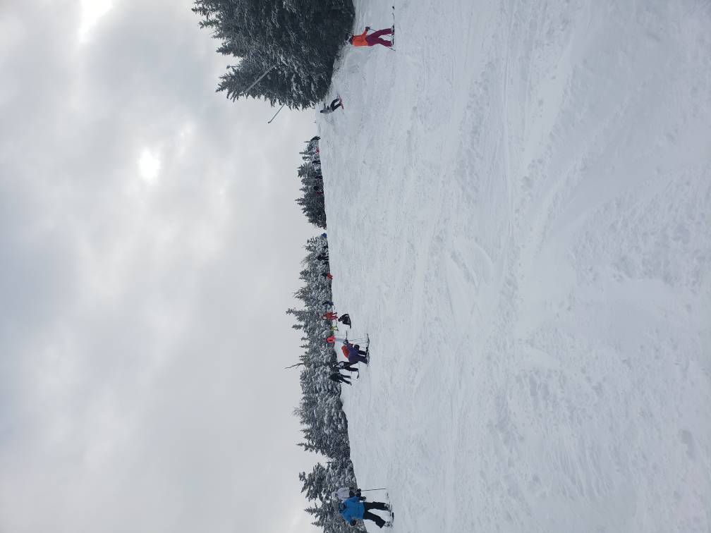 20190120_141951.jpeg
